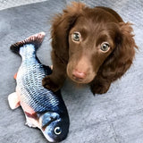 FishBop™ - Interactief plezier voor harige vrienden - Azora