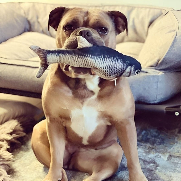 FishBop™ - Interactief plezier voor harige vrienden - Azora