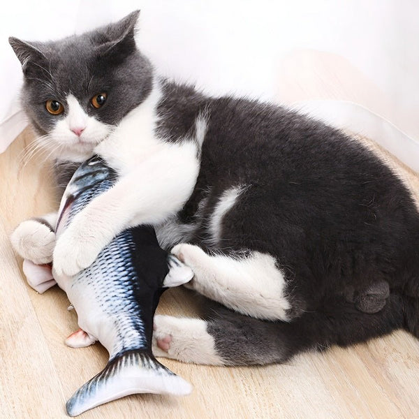 FishBop™ - Interactief plezier voor harige vrienden - Azora