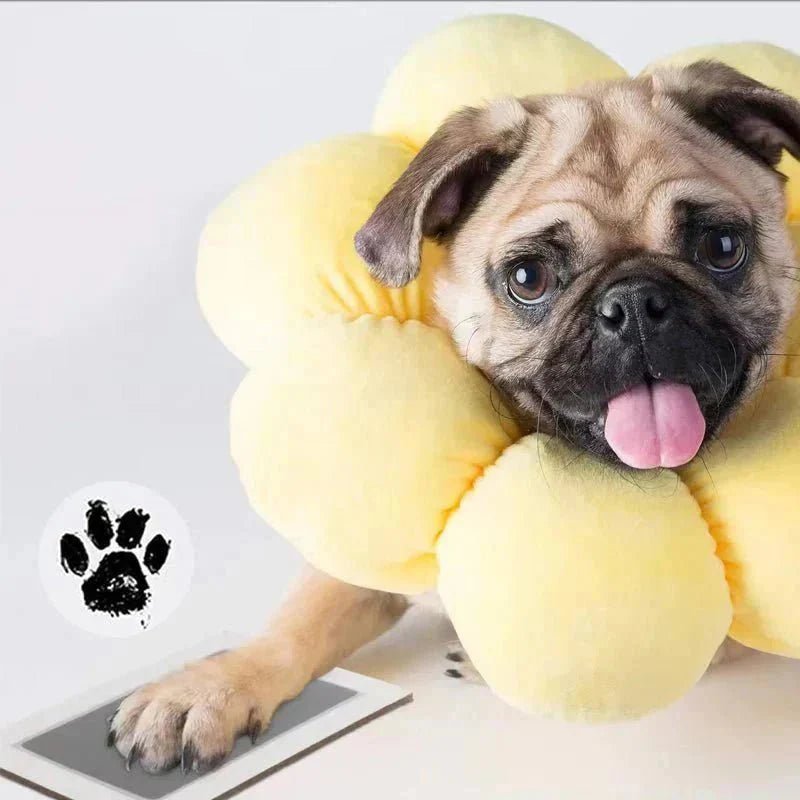 ForeverPaws™ - Inktloze Hand/Poot Stempel met Fotolijst - Azora