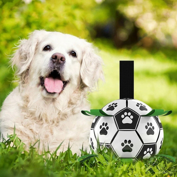 ToughPaw Ball© - Hond Voetbal Speelgoed - Azora